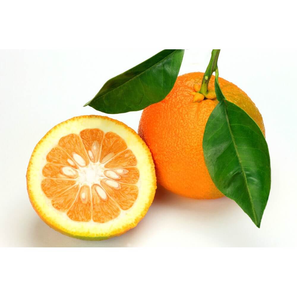 arancia amara 1